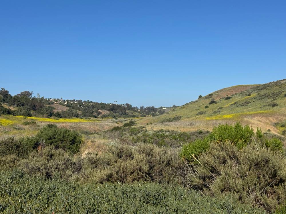 Salt Creek