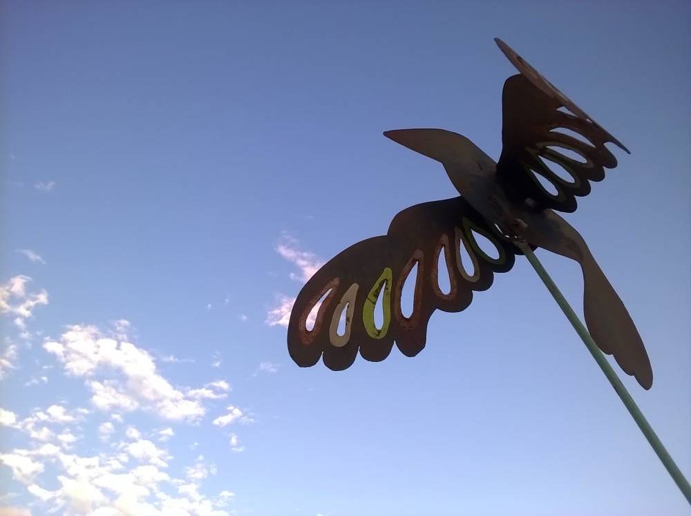 taking flight