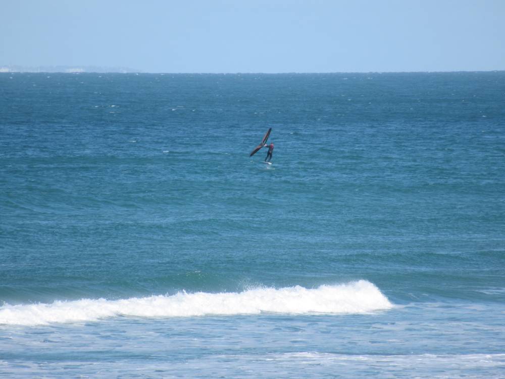 Someone windsurfing at St Ouen