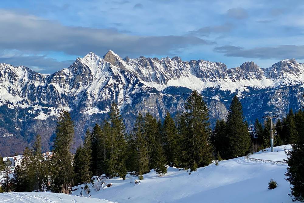 Swiss Snow, photo 2 of 2