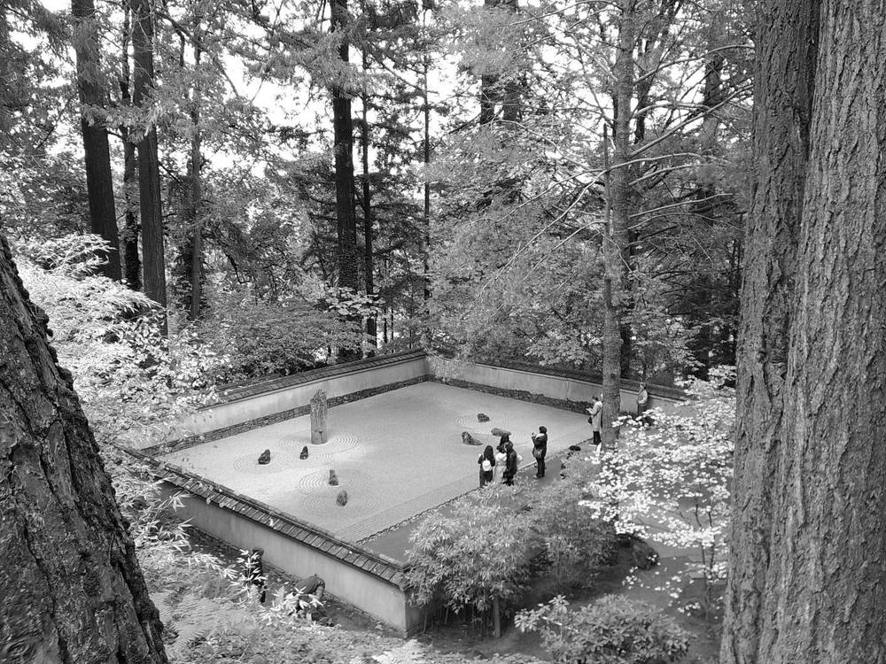 i went to the japanese tea garden in #pdx today with my #campsnap