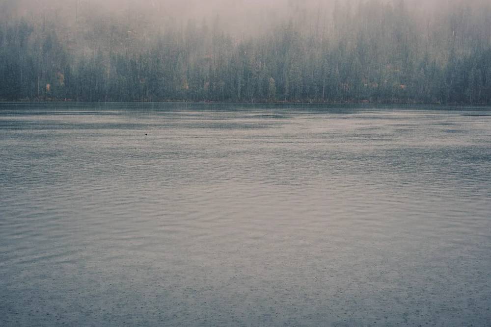 Morning Mist Shrouds Suttle Lake Oregon
