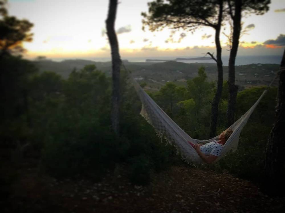 Dreamy sunset