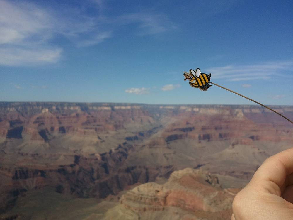 A cartoon bee toy on a stick held against the vast Grand Canyon landscape.
