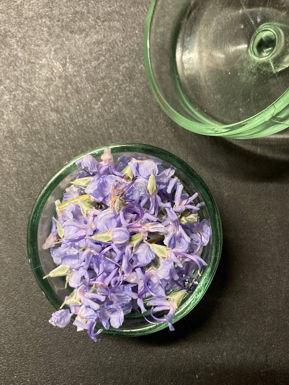 rosemary　flower, photo 1 of 1