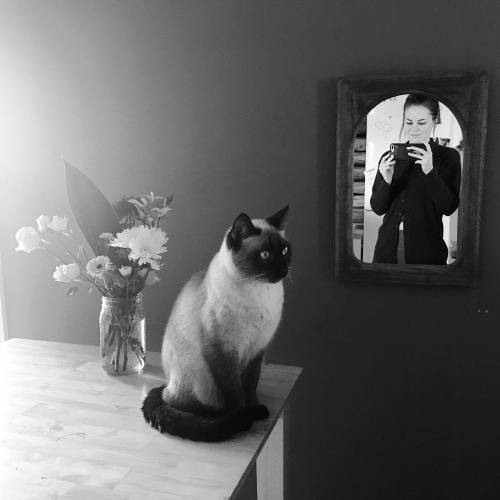 kitty