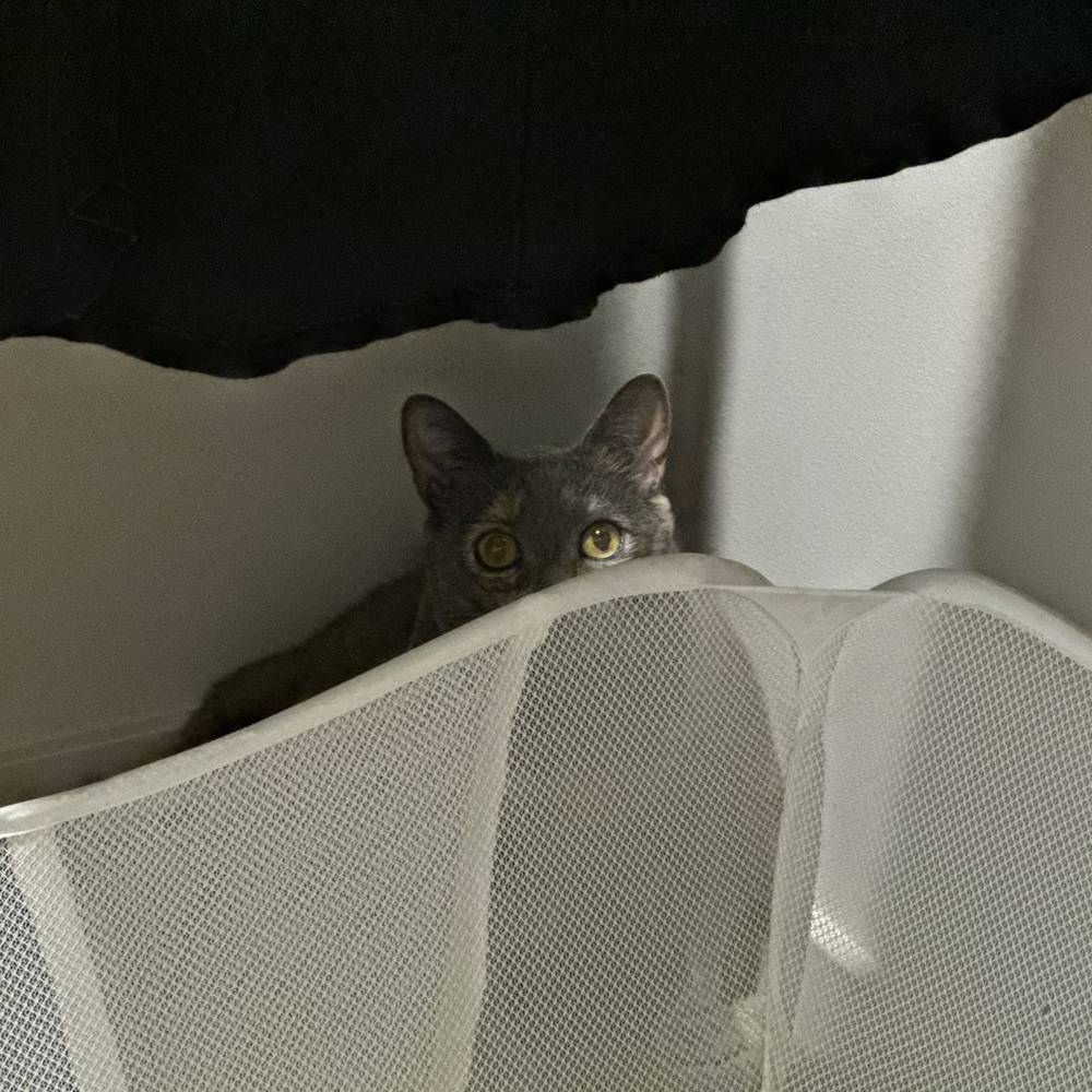 👀