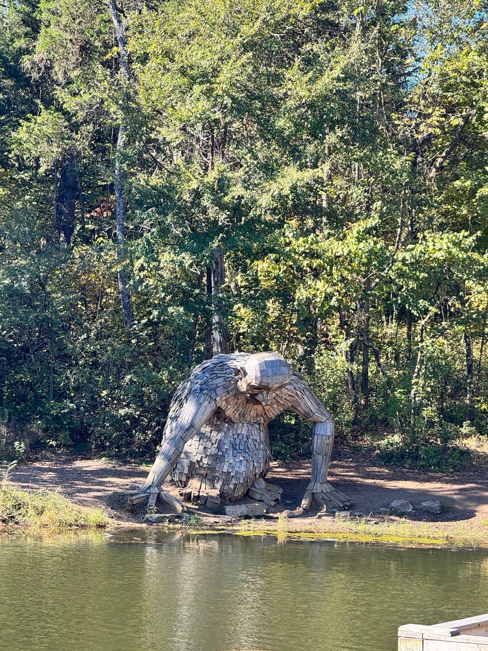 Forest Giants in a Giant Forest