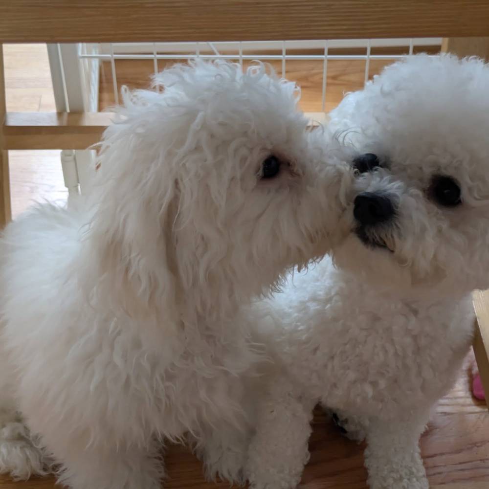Two brothers being very cute 💕🫣, photo 1 of 2