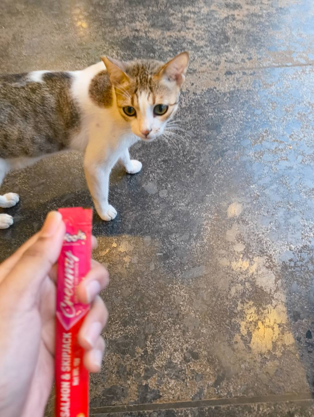 me showing her food to see if she's hungry