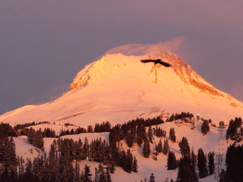 Oregon