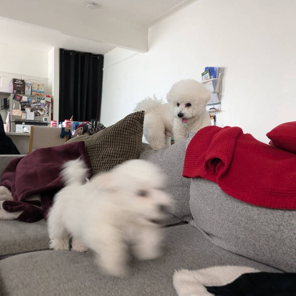Zoom zoom zoom zoom!!!
