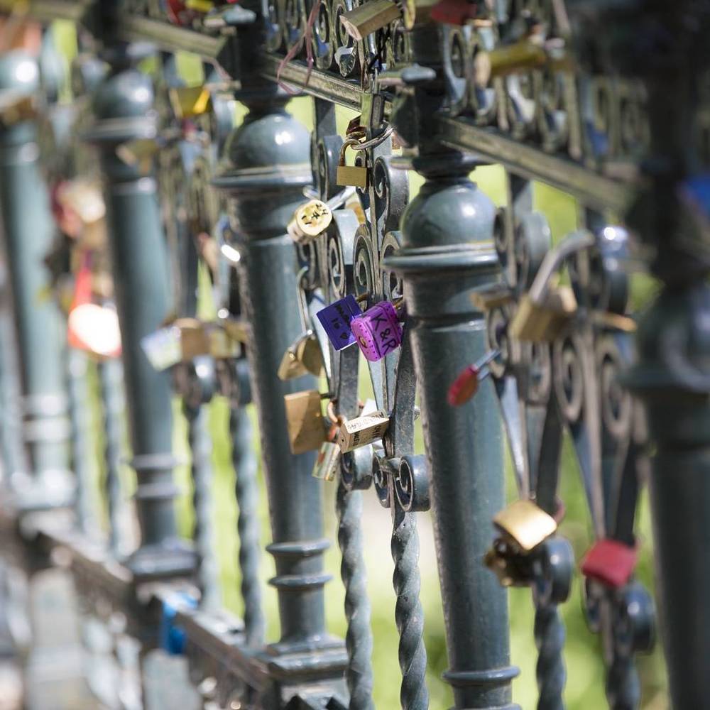 Close-up of padlocks attached to an ornate iron railing.
