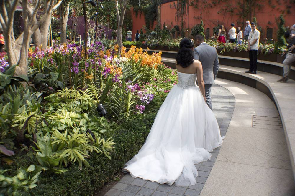 A bride in a white gown is photographed walking past an orchid bed for a wedding shoot.