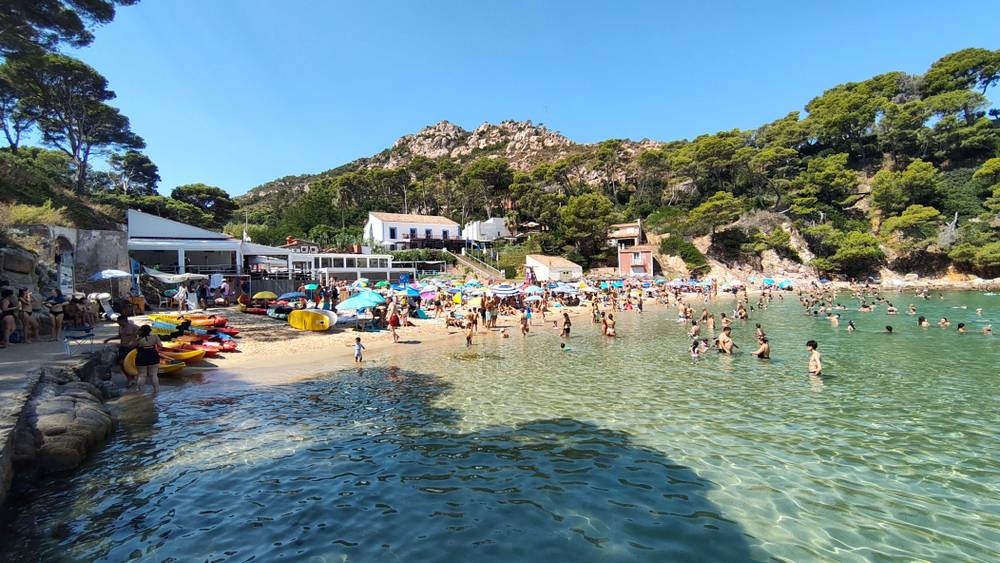 A beach cove with kayaks, umbrellas and swimmers surrounded by pine-covered hills.