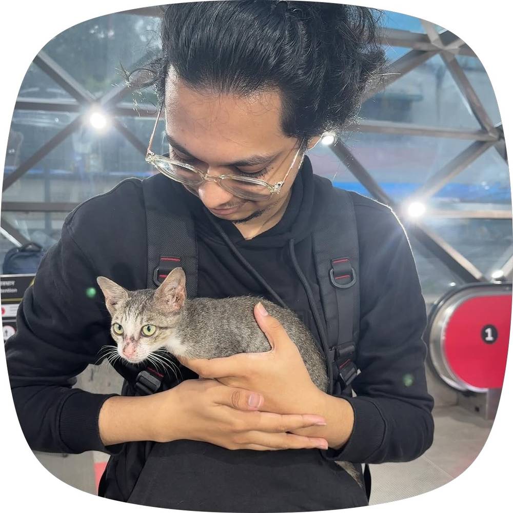 me looking at kitten in hand 