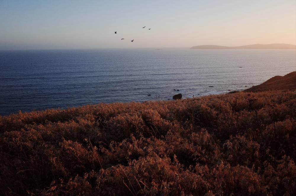 bodega bay sunset