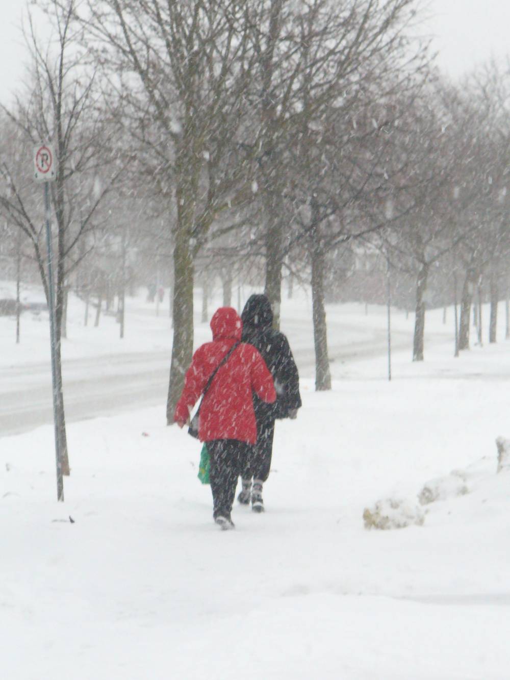 Walk before the New Year