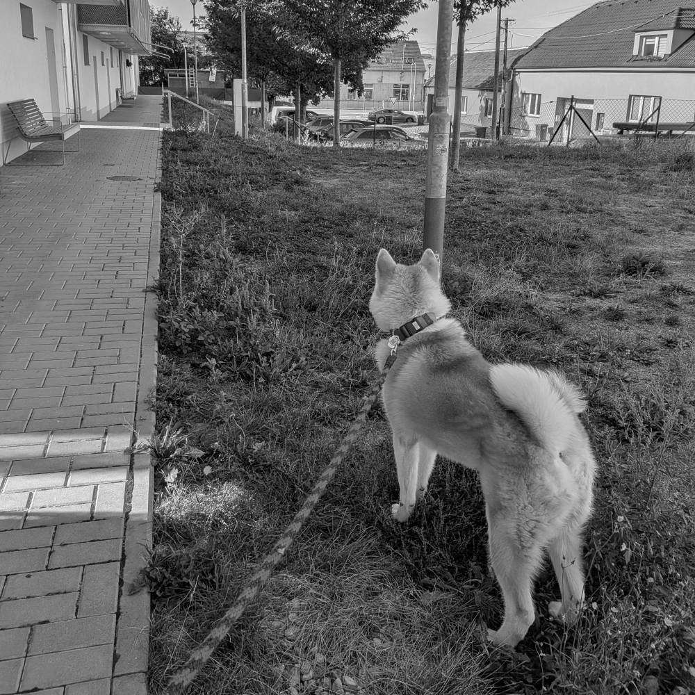 Someone is coming