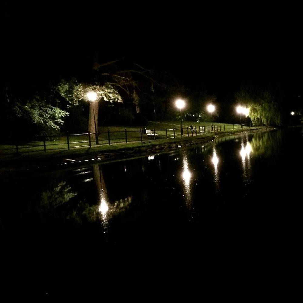 Streetlights reflected in a canal lined with trees at night.