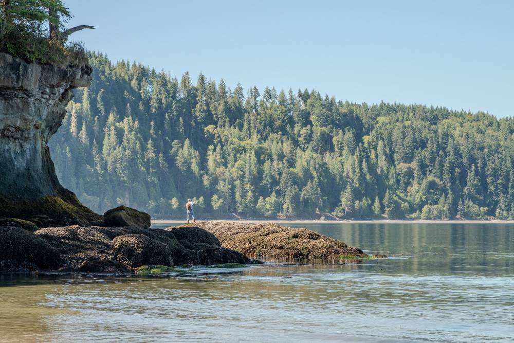 Olympic Peninsula