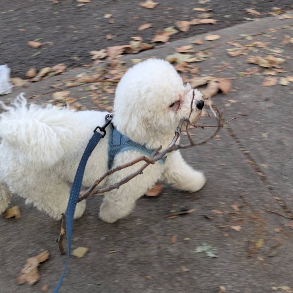 Stick time!