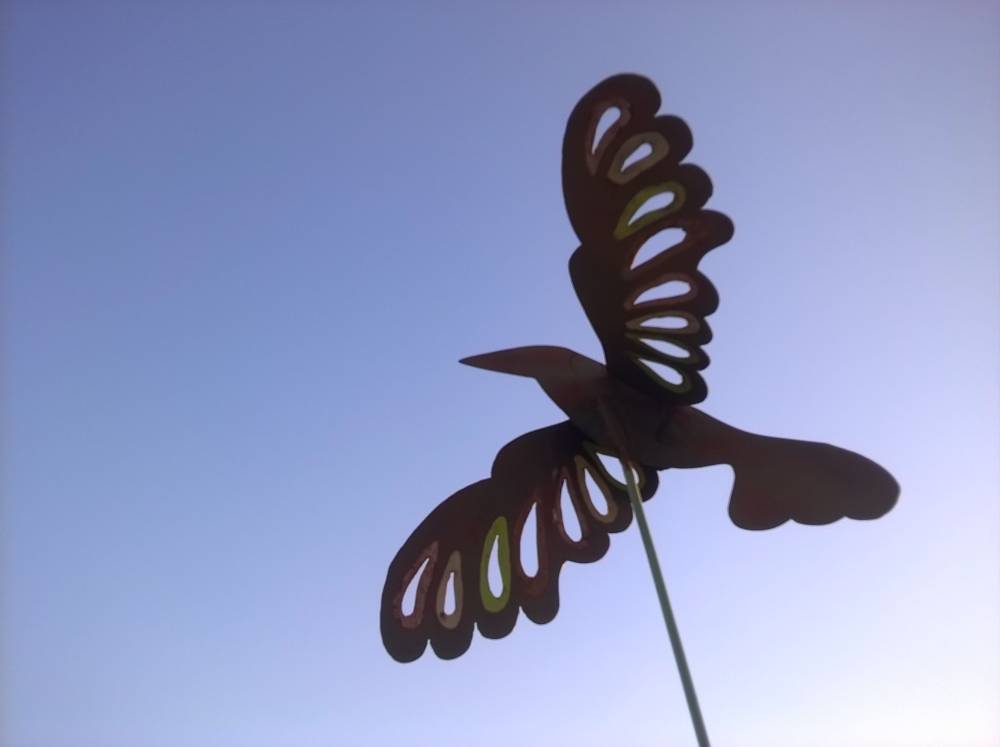taking flight, photo 2 of 3