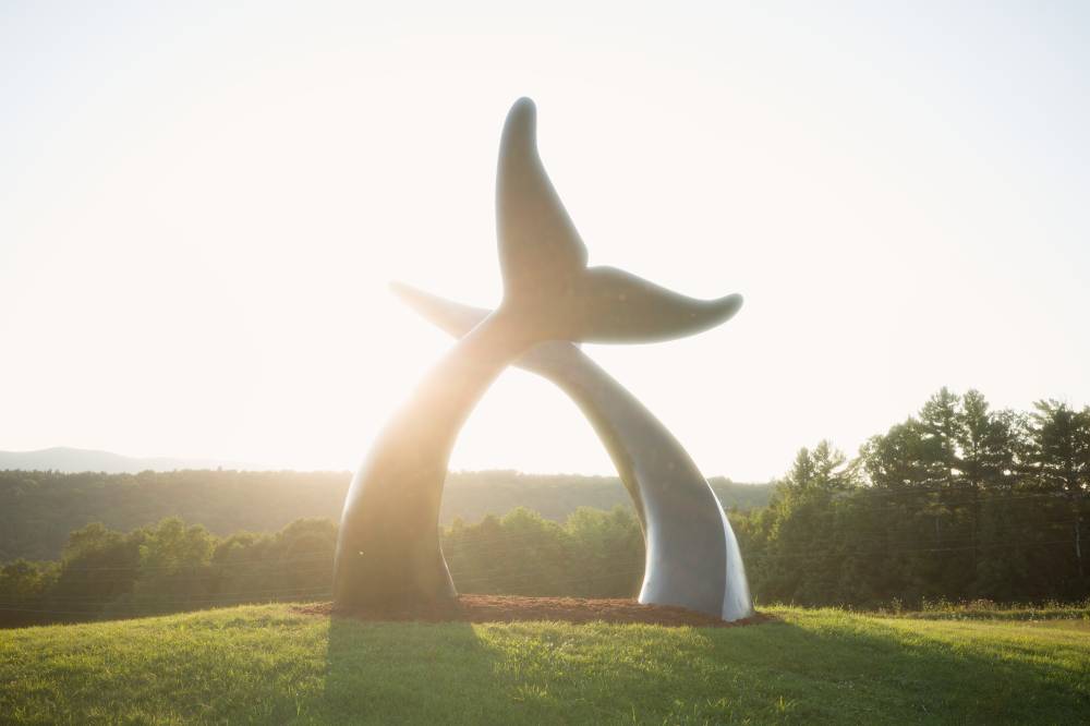 Sculpture of two whale tails emerging from the green grass. Heavily backlit by the sun, sky blown out, trees and mountains in the distance.