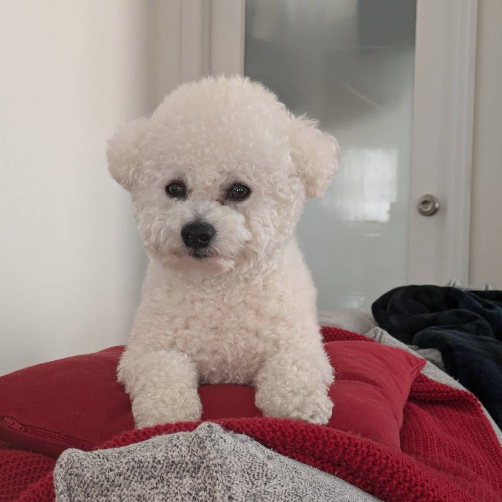 Just woke up, why is mommy taking pictures of me 😒, photo 1 of 1