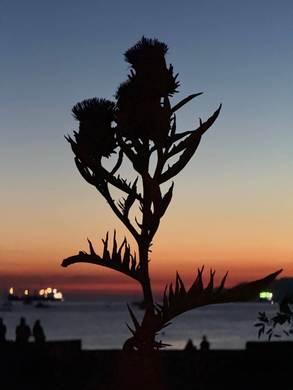 Sunset Beach