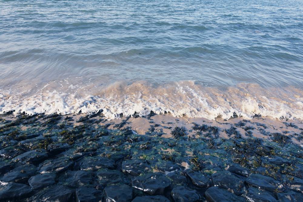 Am Meer, photo 2 of 3