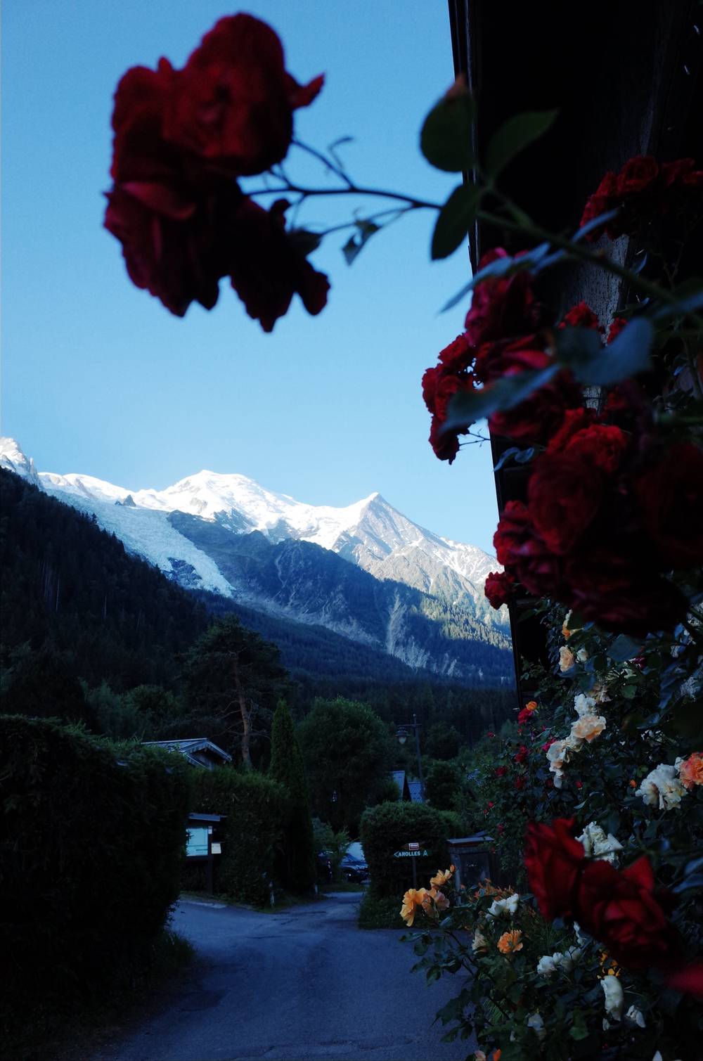 chamonix 