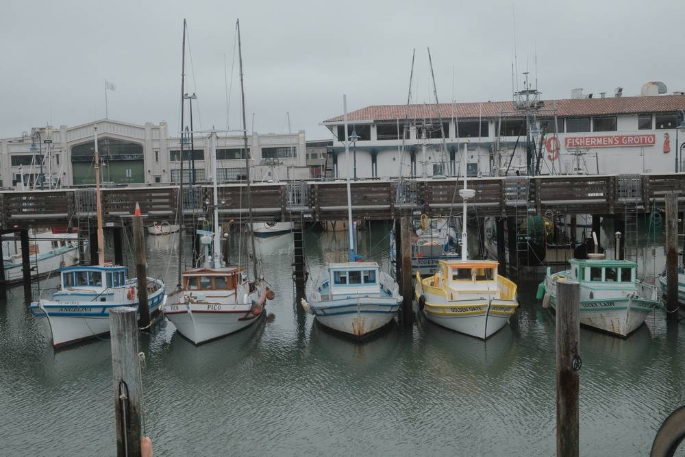 Boats of color
