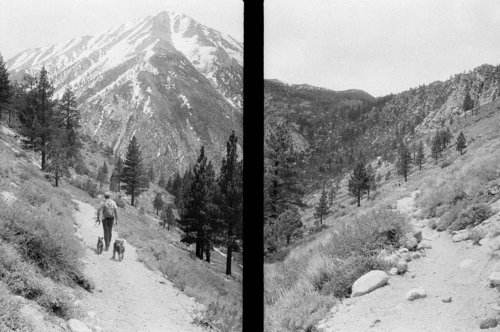 Eastern Sierra Nevada 