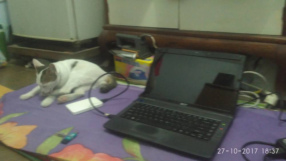 Working on Reinstall Laptop