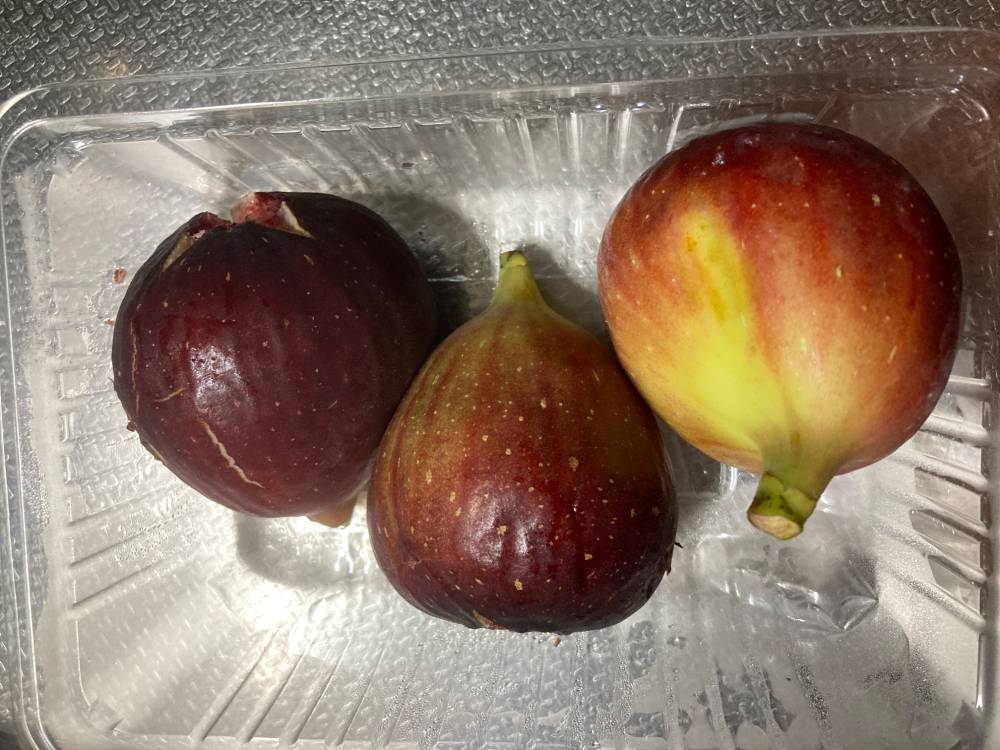 いちじく