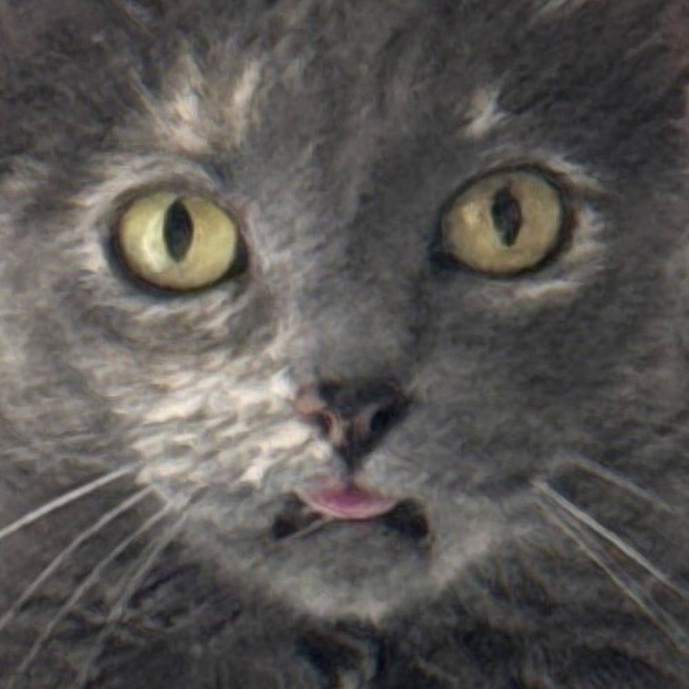 i relate to this facial expression on a deep emotional level