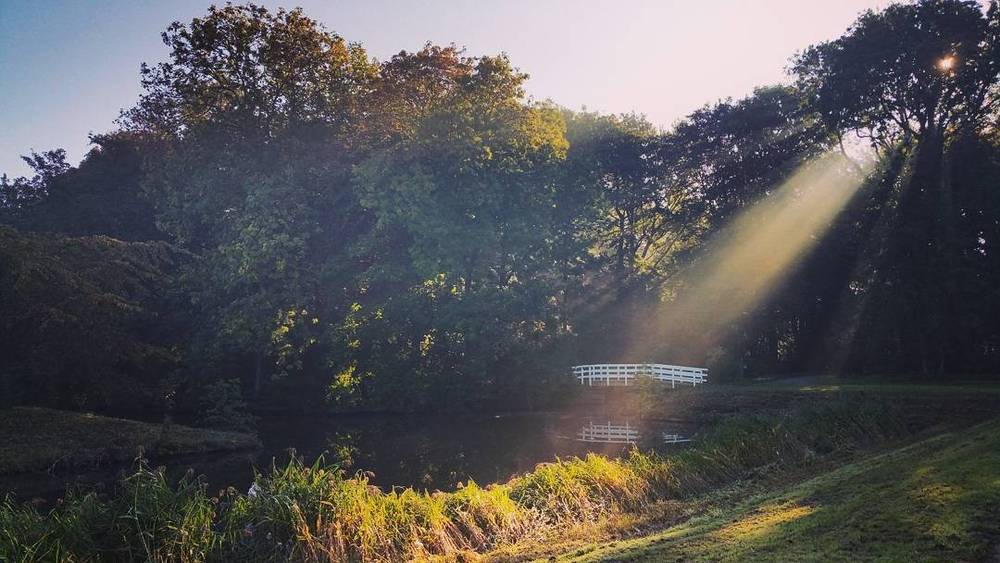 Sunlight streaming through trees over a misty pond in a park.