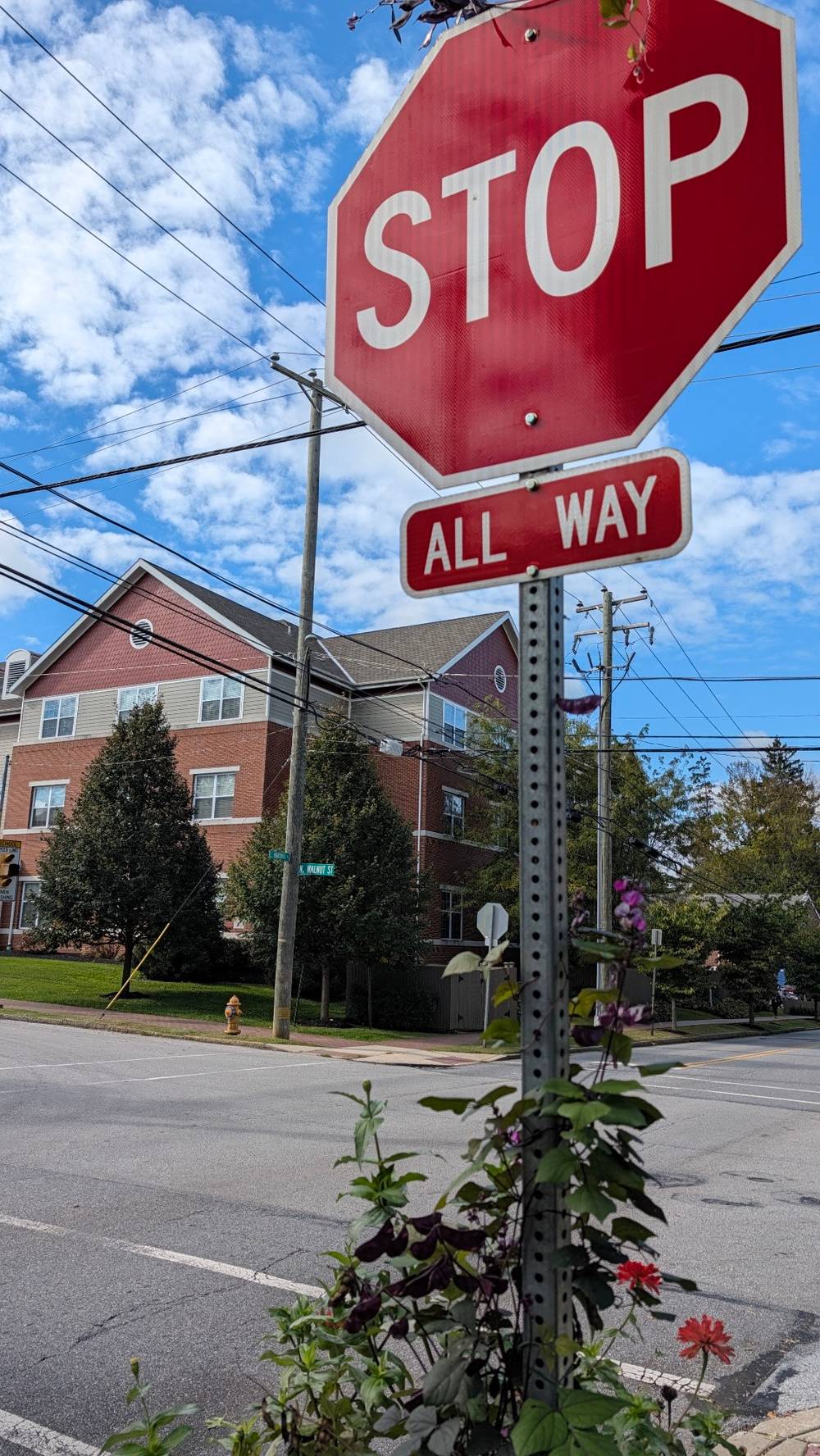 a stop sign on a corner with vines growing into the base