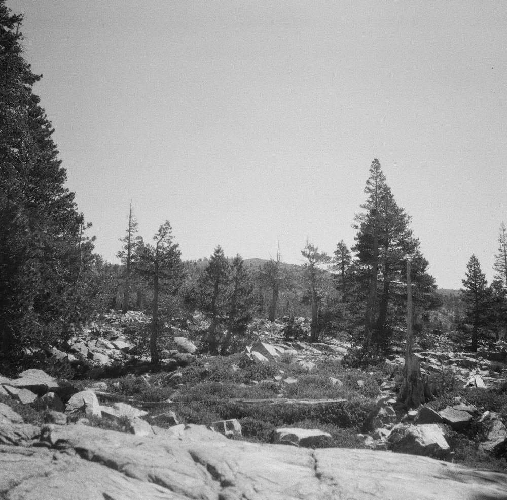 Tamarack Lake