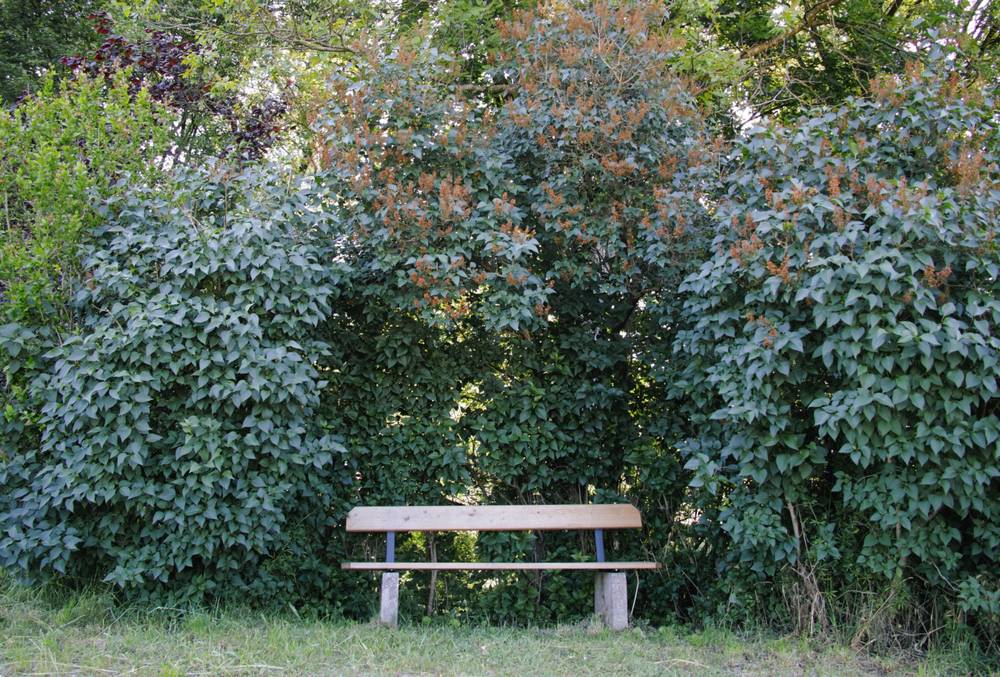Have a Rest. In the Shadow., photo 1 of 1