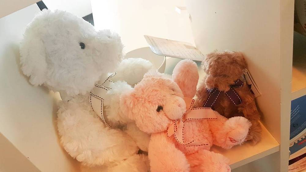Stuffed toy animals displayed on a shelf.
