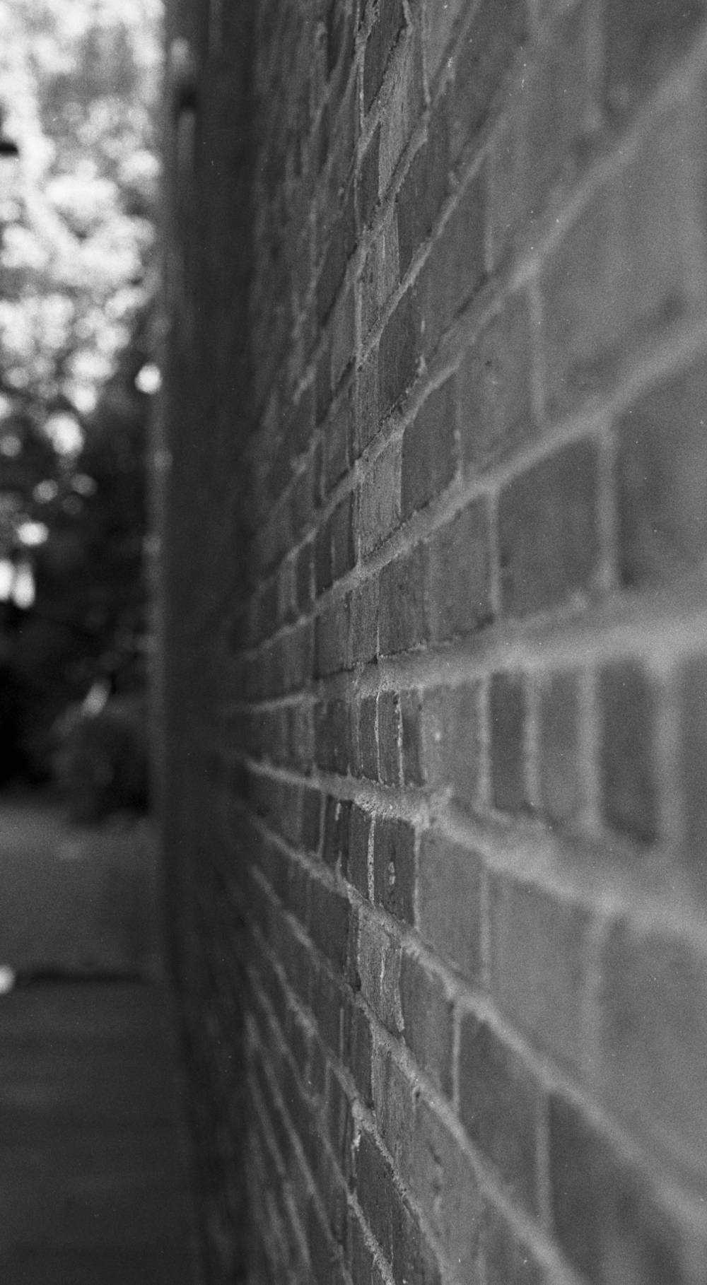 Wall