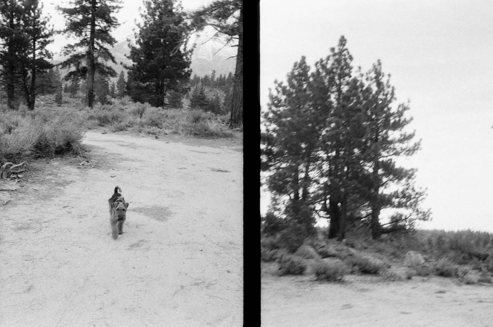 Mono County, photo 2 of 2