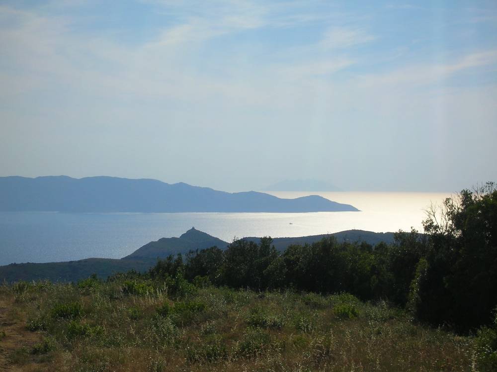 A hazy coastal view over the sea toward a distant hilly island, seen from scrubby hillside vegetation.