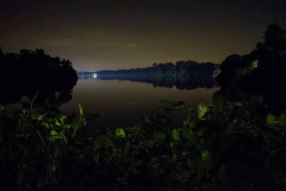 Singapore 2016 · Night Safari