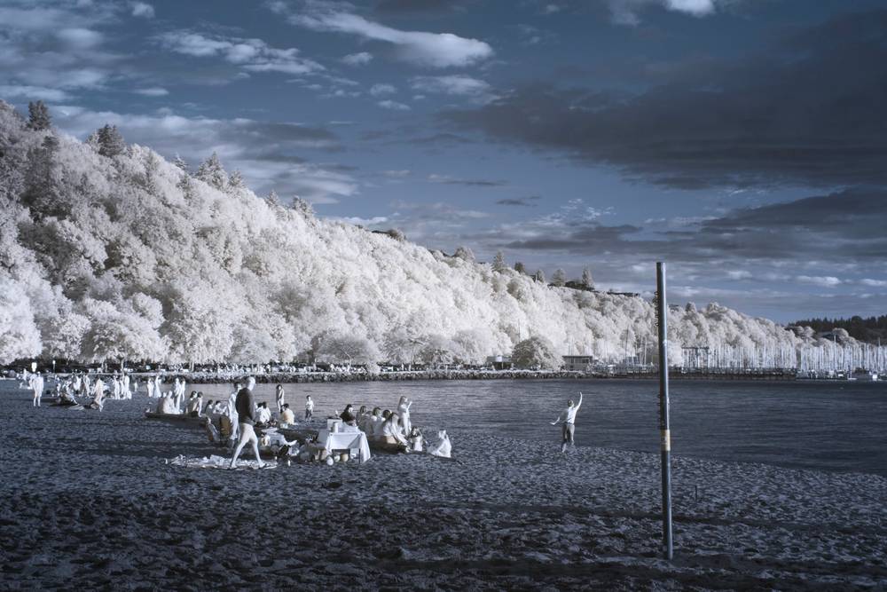 The beachfront from the side. There are lots of groups of people picnicking or sitting together. One lone person is dancing, a bit separated from the crowds. Closer than that person is a volleyball net pole (without the net). A tree-lined hill behind the beach meets a harbor packed with sailboats in the distance. The photo is nearly black & white, slightly bluish, and the trees are rendered very bright (almost white).