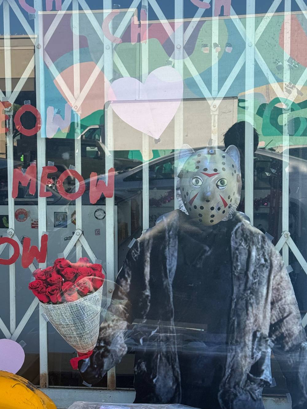 weird Jason cat mask