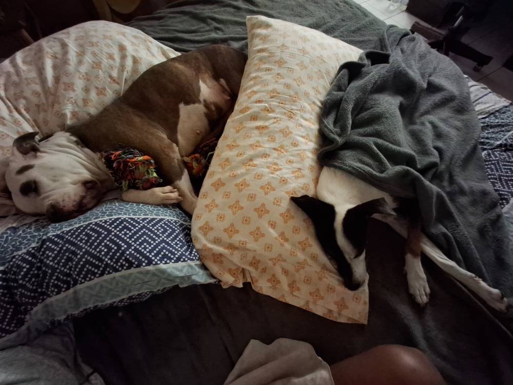 Babies, photo 2 of 13