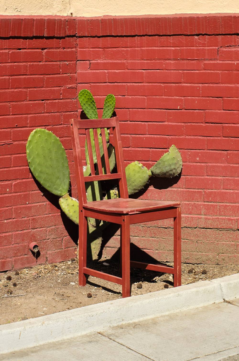 🪑🌵